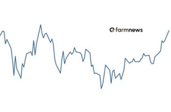 Boi gordo encerra próximo de R$ 340,0 por arroba com expectativa de alta em dezembro 10 preço futuro da arroba do boi
