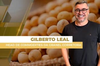 Soja dispara em Chicago com compras da China nos EUA; preços no interior do...