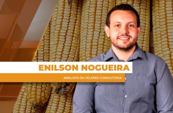 Atrasos no plantio da soja trazem sustentação para os preços do milho na B3