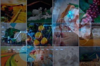 CNA projeta crescimento de 1% do PIB do agronegócio em 2026 com produtores recorrendo a capital próprio