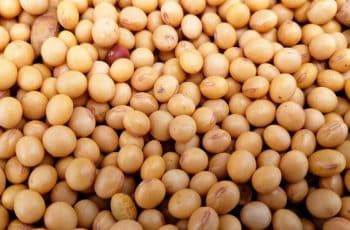 Mesmo com novas compras da China, soja fecha terça-feira com desvalorização...