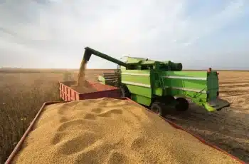 PIB de Goiás cresce 7,7% em 2025, impulsionado pela agropecuária, segundo IBGE 10 PIB