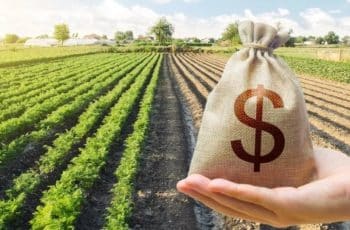 Agronegócio puxa o PIB e mantém economia brasileira em expansão em 2025