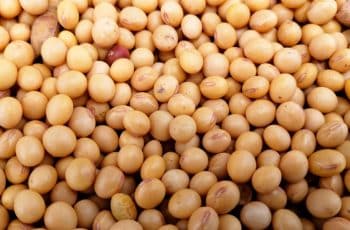 Mesmo com novas compras da China, soja fecha terça-feira com desvalorização em Chicago