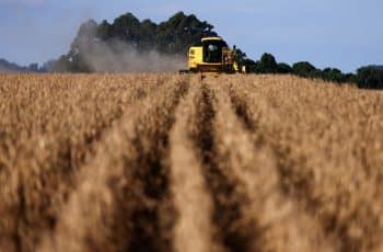 Agro, petróleo e gás sustentam alta de 0,1% do PIB no 3º tri, mas economia desacelera