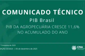 PIB da agropecuária cresce 11,6% no acumulado do ano
