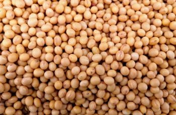 Soja segue recuando em Chicago nesta 6ª feira e acumula 20 pts de baixa na...