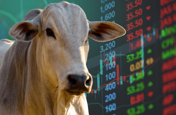 Realização de lucros pressiona contratos futuros do boi gordo