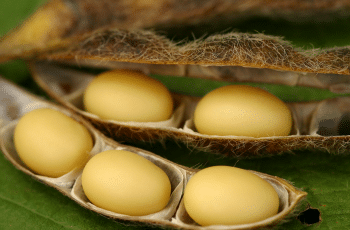 Soja recua em Chicago nesta tarde de 4ª feira, acompanhando perdas de mais...