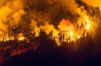 Grande incêndio florestal na Patagônia argentina está fora de controle e já destruiu 5.500 hectares