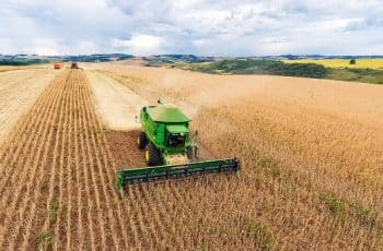 Quando se compara o primeiro trimestre de 2025, em relação ao último trimestre de 2024, a agropecuária cresceu 12,2% e isso impulsionou o avanço de 1,4% Produto Interno Bruto (PIB) no período. -  (crédito: Divulgação/Governo de Santa Catarina)