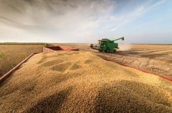 Colheita de Soja Avança em Mato Grosso com Menos Chuvas e Preços em Queda