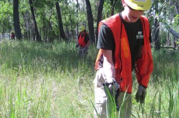Desemprego juvenil é três vezes maior que o dos adultos na América Latina, aponta ONU