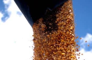 Prévia do PIB mostra que SC cresceu 4,9% até novembro de 2025