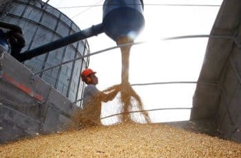 Banco Mundial reduz previsão para crescimento do PIB do Brasil em 2025 e 2026