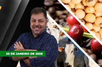 Arroba do boi emplaca terceira alta seguida em SP; alta do dólar faz preço...