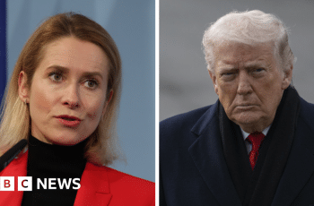Trump says he will '100%' carry out Greenland tariffs threat, as EU vows to protect its interests