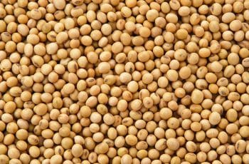 Soja volta a subir em Chicago nesta 4ª feira, acompanhando novos ganhos...