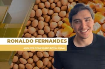 Dólar em alta dá apoio importante aos preços da soja no BR em semana intensa...