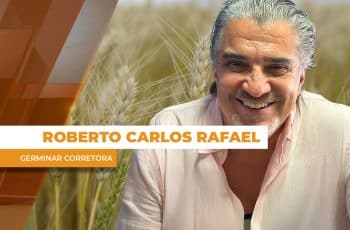 Estoques altos e nova oferta estão forçando quedas nos preços do milho no Brasil