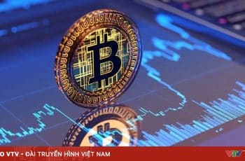 Vietnam.vn - Nền tảng quảng bá Việt Nam