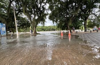 A imagem mostra uma área pública, possivelmente uma praça ou parque, que está parcialmente alagada devido ao transbordamento de um rio próximo. O chão é pavimentado com tijolos, e a água turva cobre boa parte dessa pavimentação, avançando do fundo da imagem para a frente. Há duas cones de sinalização laranja e branco colocados na água para alertar sobre o perigo. No lado esquerdo, há uma caixa azul coberta de cartazes e grafites, próxima a um poste de concreto. Árvores grandes e frondosas com cipós ou musgos pendurados cercam a área, criando uma espécie de moldura natural para a cena. Algumas pessoas estão observando o alagamento, incluindo uma mulher próxima a uma árvore no centro-esquerdo e um grupo de pessoas, incluindo crianças, perto de uma grade branca no lado direito. Ao fundo, é possível ver uma floresta densa do outro lado do rio, que está cheio e com água barrenta. O céu está nublado, indicando um clima chuvoso ou recente chuva forte, que provavelmente causou a enchente. A imagem transmite uma sensação de alerta diante do fenômeno natural e a interação das pessoas com esse cenário.
