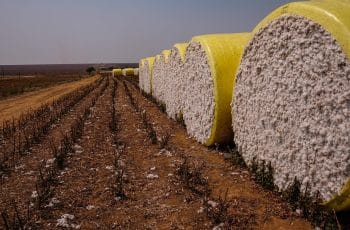 Exportações impulsionam Mato Grosso à liderança da balança comercial no país