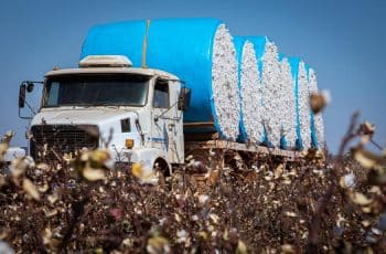 Mato Grosso lidera a balança comercial brasileira em 2025; Mais de 90% em exportação