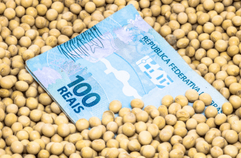 Dólar em queda reduz custo da safra de soja 2026/2027 em MT