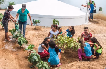 Programa Cisternas reduz dependência do Bolsa Família e melhora renda no semiárido, aponta estudo do IZA 2 Após chegada de cisternas, 30% de beneficiários deixam Bolsa Família, diz estudo | Brasil