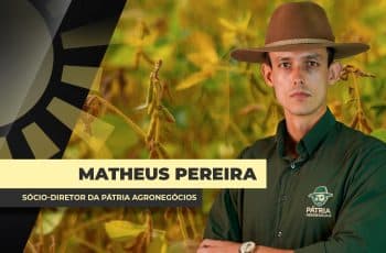 Disparada da soja na Bolsa de Chicago traz altas pontuais e regionais no Brasil