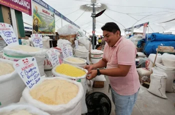 IBC-Br indica crescimento de 2,5% em 2025, desacelerando em relação a 2024 4 IBC-Br aponta crescimento econômico de 2,5% em 2025, mostra BC