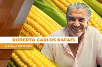 Foco do produtor na soja ajuda a reduzir oferta de milho e traz suporte para...