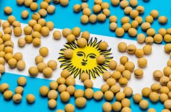 Com possibilidade de novas greves na Argentina, farelo sobe mais de 1% em Chicago e soja acompanha