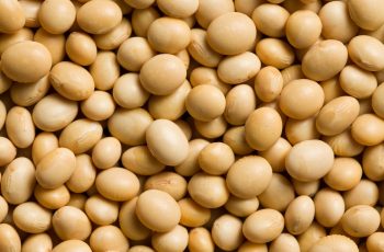 Soja, milho e trigo operam em alta na bolsa de Chicago