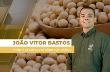 Soja fecha em alta em Chicago, mas preços permanecem estáveis no BR com...