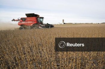 Soja tem melhor cotação em três meses, com apoio da demanda