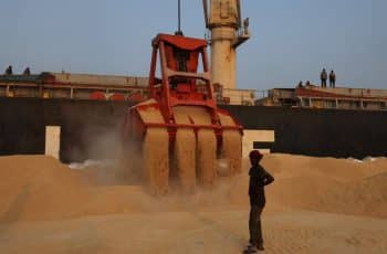 Soja fecha em leve alta em Chicago com expectativa de compras chinesas