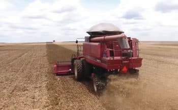Agropecuária puxa resultado positivo do PIB 2025