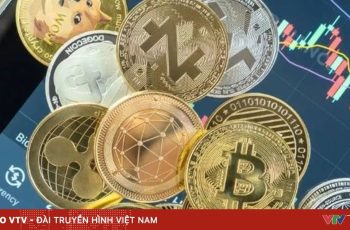 Vietnam.vn - Nền tảng quảng bá Việt Nam