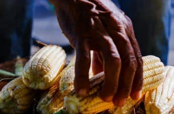 PIB do Brasil cresce 2,3% com valores correntes de R$ 12,7 trilhões