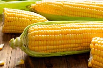Mercado de milho no Brasil segue travado com preços mistos e atenção à logística e clima