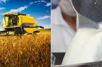 Agência Minas Gerais | PIB de Minas Gerais atinge recorde de R$ 1,157 trilhão em 2025