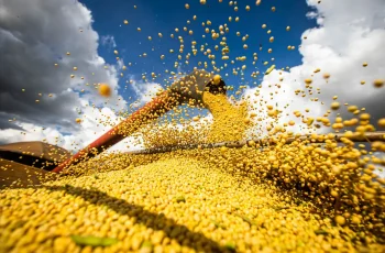 PIB do Brasil cresce 2,3% em 2025, com agropecuária em alta de 11,7%, segundo IBGE 6 PIB do Brasil desacelera em 2025 e registra 2,3%; agronegócio cresce 11,7%