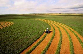 Agronegócio puxa resultado positivo do PIB 2025 - Visão Agro