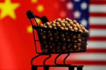 Importações chinesas de soja dos EUA despencam no 1º bimestre; desembarques brasileiros saltam
