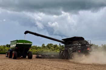 AgRural: Com chuva, colheita de soja vai a 39% e segue como a mais lenta em cinco anos
