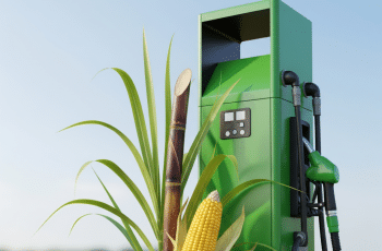 Estados Unidos aumentam percentual de etanol de milho na gasolina