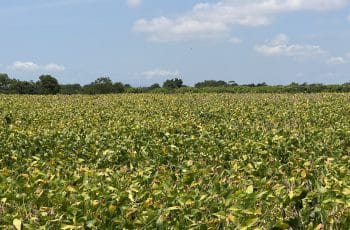 PIB de MG cresce 1,4% em 2025 e fica em R$ 1,157 trilhão