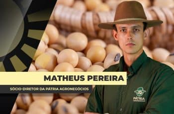 100% dos problemas do mercado de soja no BR hoje são logísticas externa e...